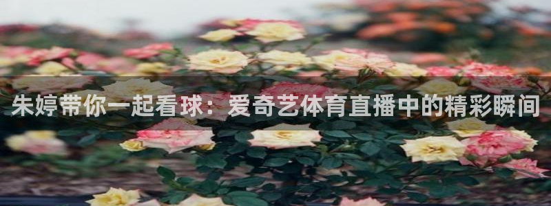 朱婷带你一起看球：爱奇艺体育直播中的精彩瞬间