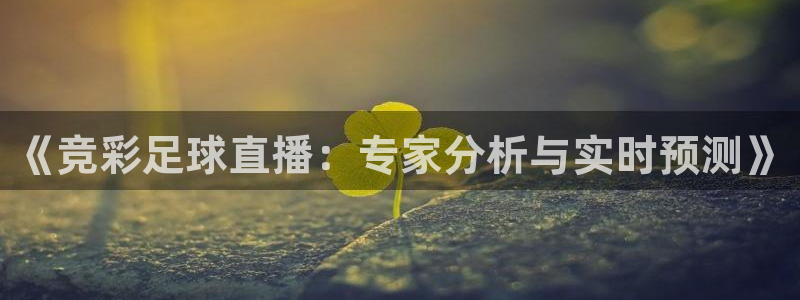 《竞彩足球直播：专家分析与实时预测》