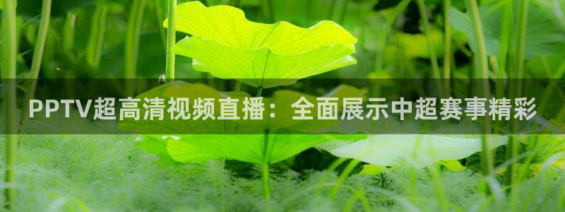 PPTV超高清视频直播：全面展示中超赛事精彩