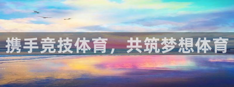 携手竞技体育，共筑梦想体育