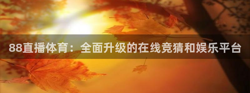 88直播体育：全面升级的在线竞猜和娱乐平台