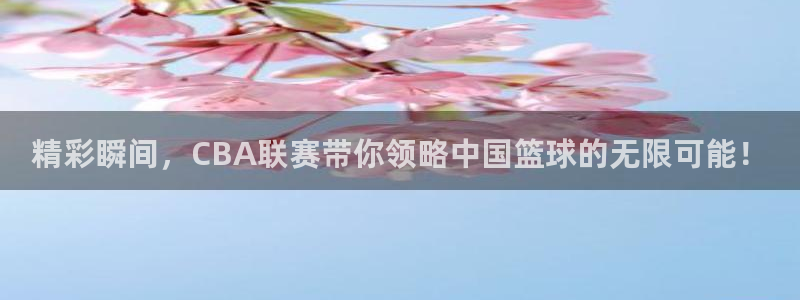 精彩瞬间，CBA联赛带你领略中国篮球的无限可能！
