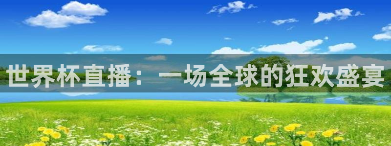 世界杯直播：一场全球的狂欢盛宴