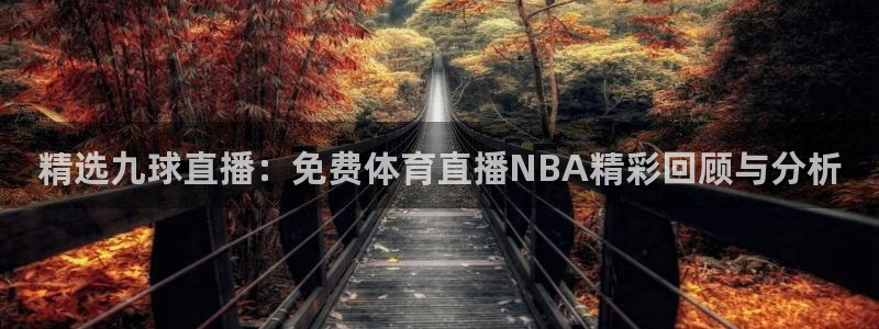 精选九球直播：免费体育直播NBA精彩回顾与分析