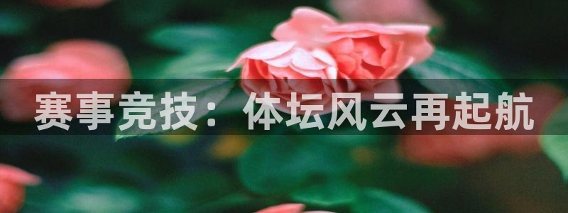 赛事竞技：体坛风云再起航