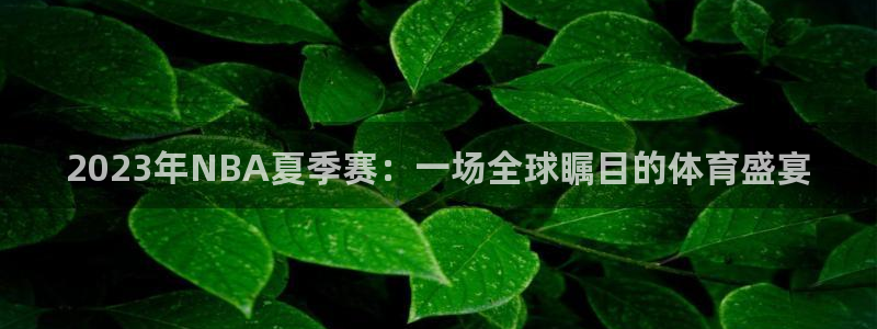 2023年NBA夏季赛：一场全球瞩目的体育盛宴