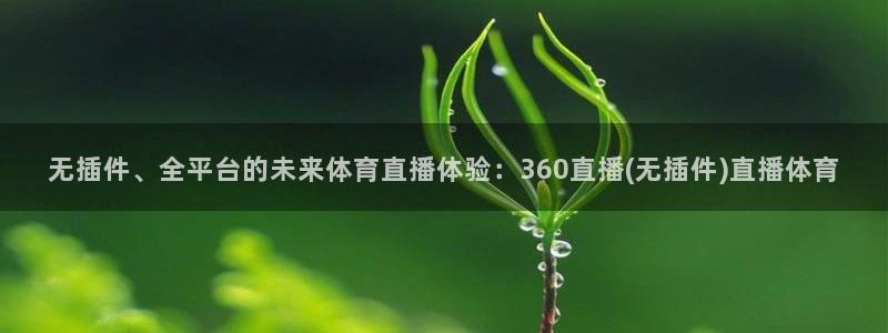 无插件、全平台的未来体育直播体验：360直播(无插件)直播体育