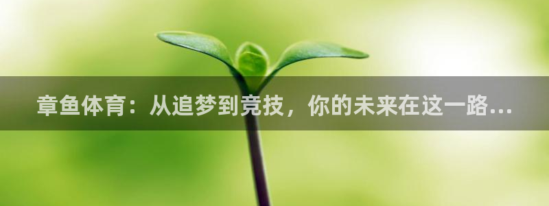 章鱼体育：从追梦到竞技，你的未来在这一路...