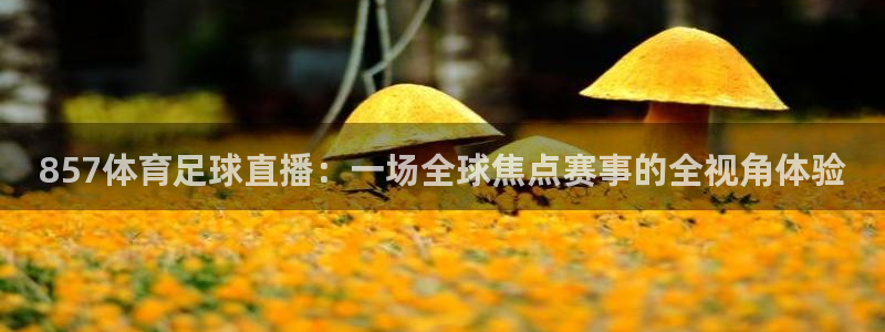 857体育足球直播：一场全球焦点赛事的全视角体验