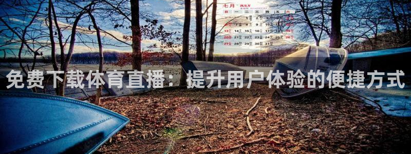 免费下载体育直播：提升用户体验的便捷方式