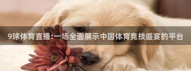 9球体育直播:一场全面展示中国体育竞技盛宴的平台