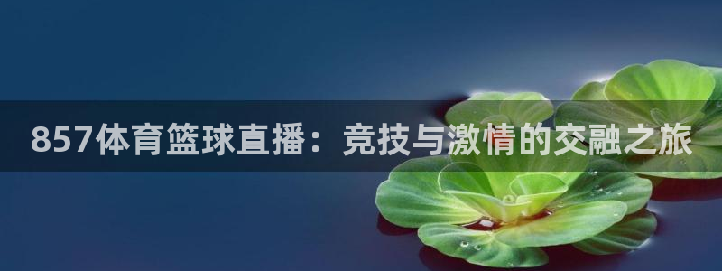 857体育篮球直播：竞技与激情的交融之旅