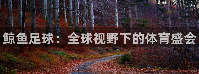 鲸鱼足球：全球视野下的体育盛会