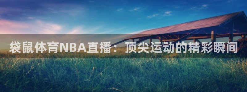 袋鼠体育NBA直播：顶尖运动的精彩瞬间