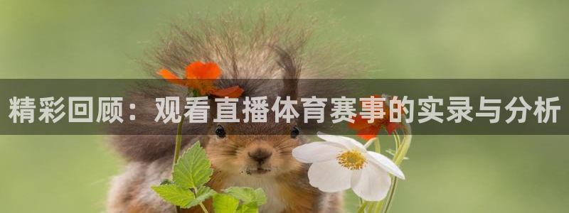 精彩回顾：观看直播体育赛事的实录与分析