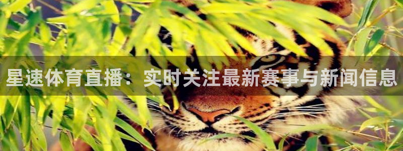 星速体育直播：实时关注最新赛事与新闻信息