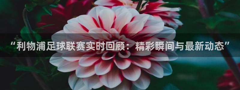 “利物浦足球联赛实时回顾：精彩瞬间与最新动态”