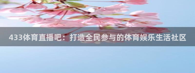 433体育直播吧：打造全民参与的体育娱乐生活社区