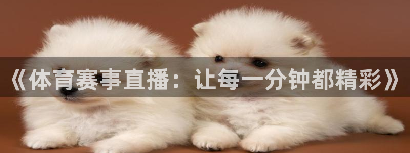 《体育赛事直播：让每一分钟都精彩》