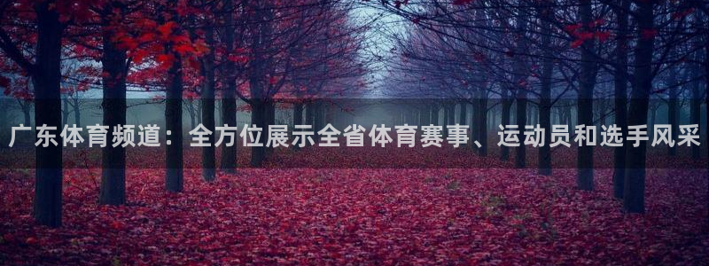 广东体育频道：全方位展示全省体育赛事、运动员和选手风采