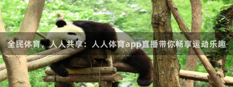 全民体育，人人共享：人人体育app直播带你畅享运动乐趣