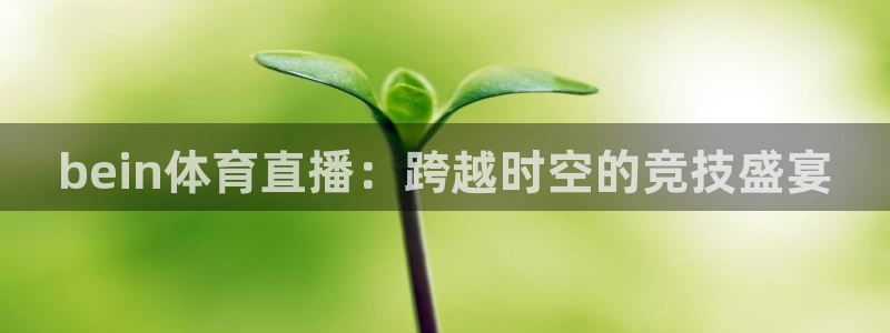 bein体育直播：跨越时空的竞技盛宴