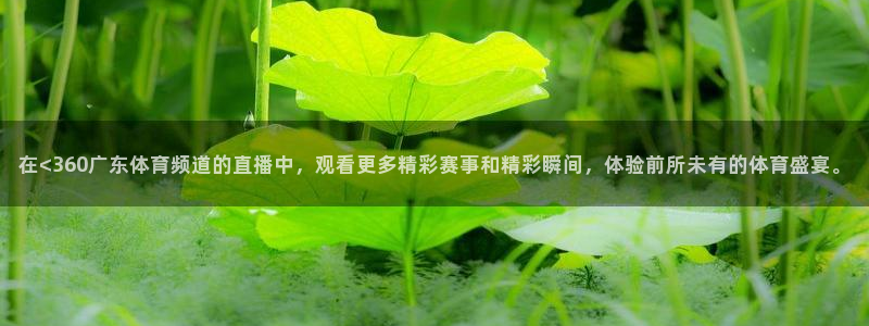在<360广东体育频道的直播中，观看更多精彩赛事和精彩瞬间，体验前所未有的体育盛宴。