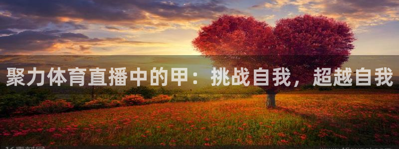 聚力体育直播中的甲：挑战自我，超越自我