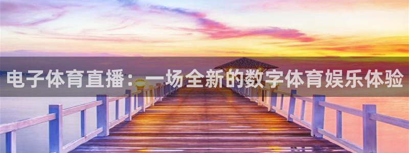 电子体育直播：一场全新的数字体育娱乐体验
