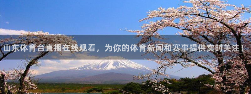 山东体育台直播在线观看，为你的体育新闻和赛事提供实时关注！