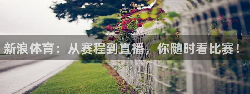 新浪体育：从赛程到直播，你随时看比赛！