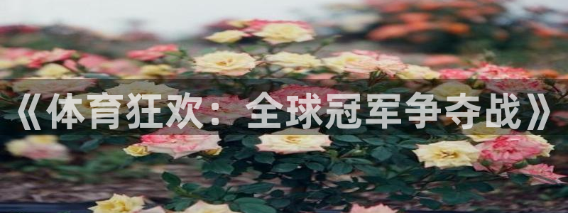 《体育狂欢：全球冠军争夺战》