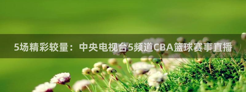 5场精彩较量：中央电视台5频道CBA篮球赛事直播
