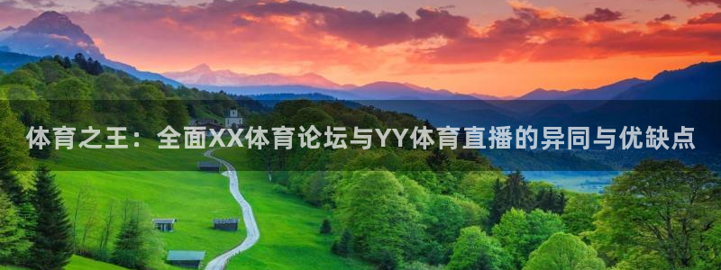 体育之王：全面XX体育论坛与YY体育直播的异同与优缺点
