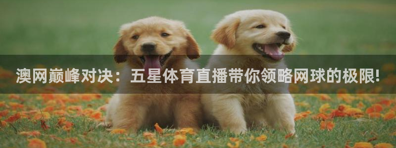澳网巅峰对决：五星体育直播带你领略网球的极限!