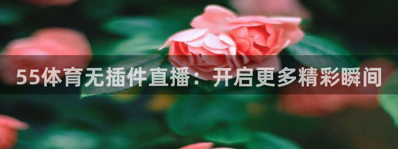 55体育无插件直播：开启更多精彩瞬间