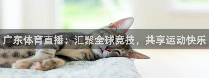 广东体育直播：汇聚全球竞技，共享运动快乐