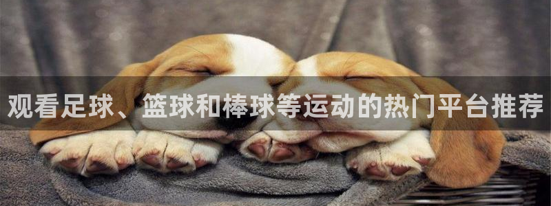 观看足球、篮球和棒球等运动的热门平台推荐