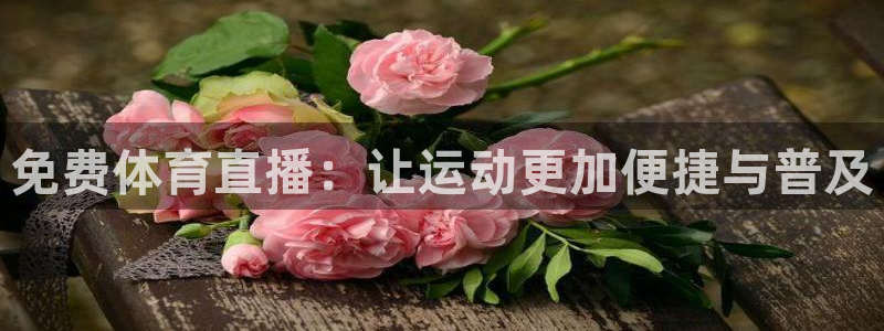 免费体育直播：让运动更加便捷与普及