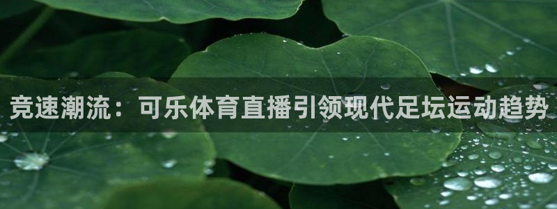 竞速潮流：可乐体育直播引领现代足坛运动趋势