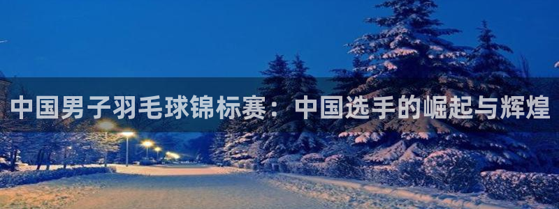 中国男子羽毛球锦标赛：中国选手的崛起与辉煌
