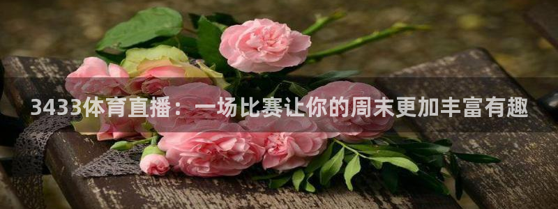 3433体育直播：一场比赛让你的周末更加丰富有趣