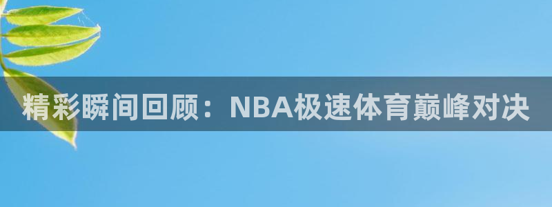 精彩瞬间回顾：NBA极速体育巅峰对决