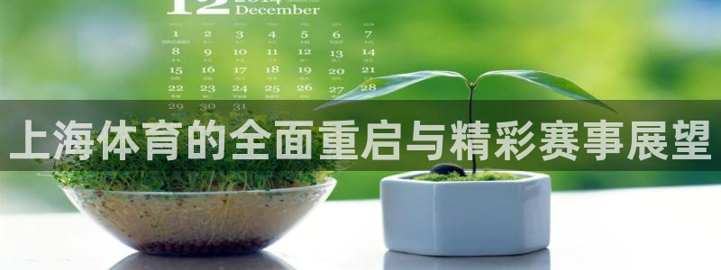 上海体育的全面重启与精彩赛事展望